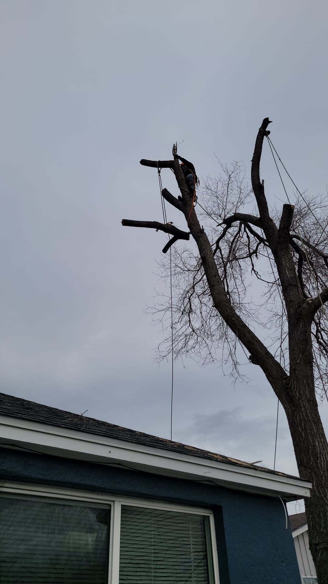 WhatsApp Image 2024-02-13 at 11.11.34 AM (2)