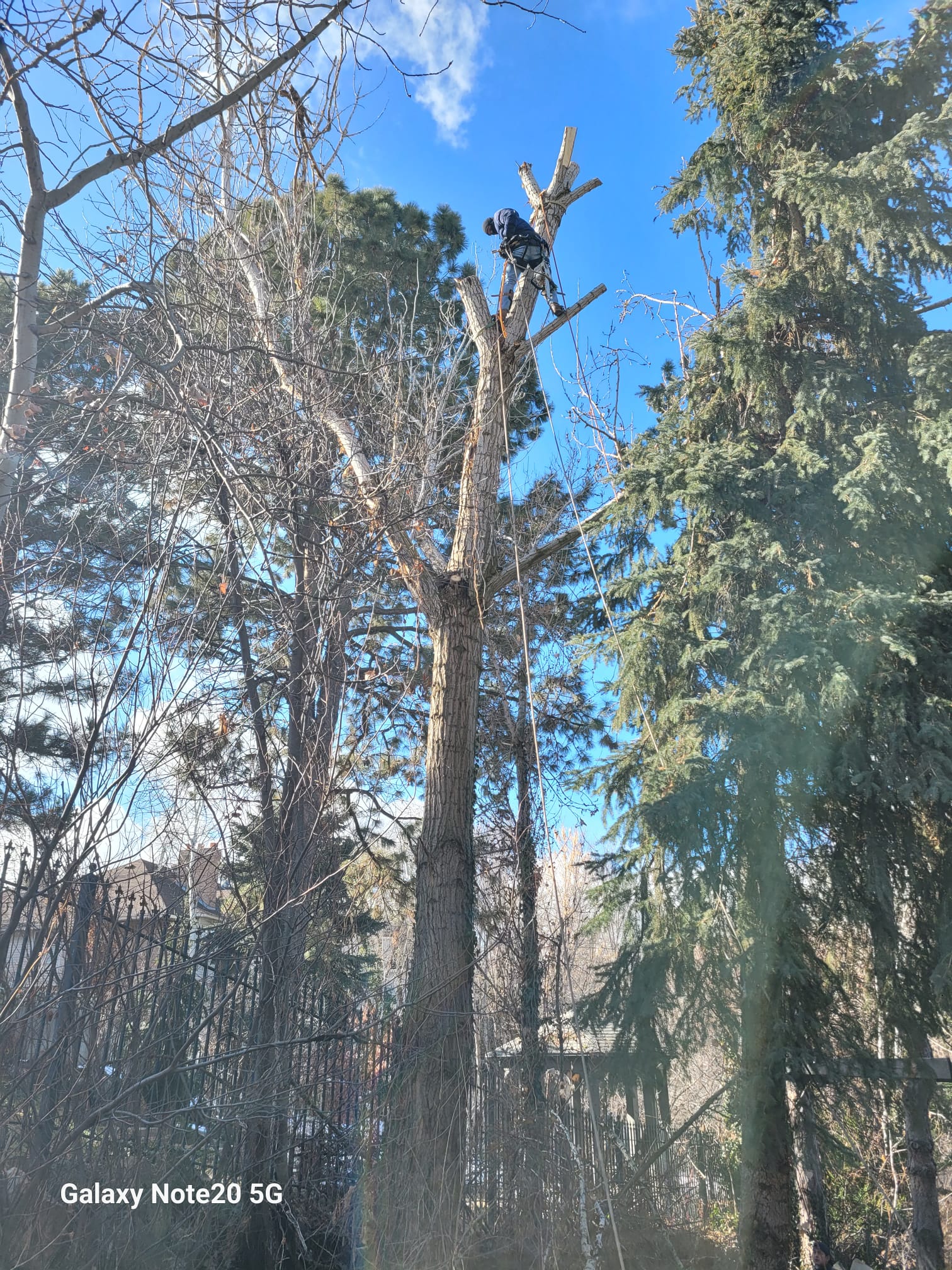 WhatsApp Image 2024-02-13 at 11.11.35 AM