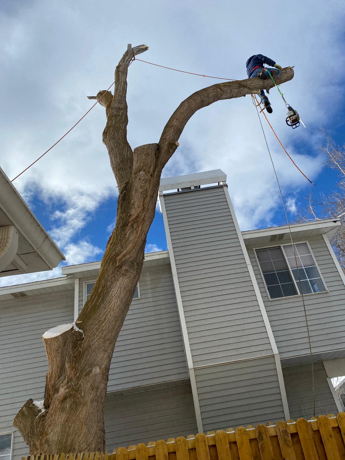 WhatsApp Image 2024-02-13 at 11.11.39 AM (1)